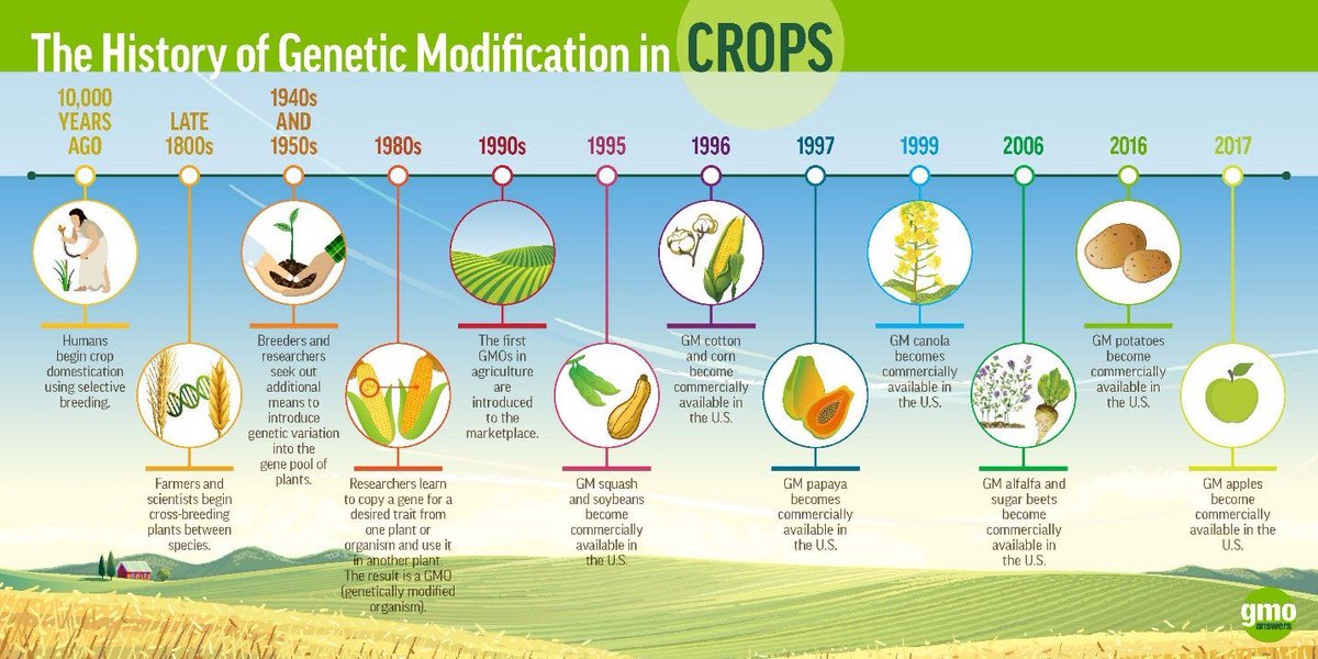 GMOAnswers's tweet photo. "GMOs" may only be 20+ years old but genetic modification has been happening as long as people have been eating food. #tbt #throwbackthursday https://t.co/iLvAA3jAUy