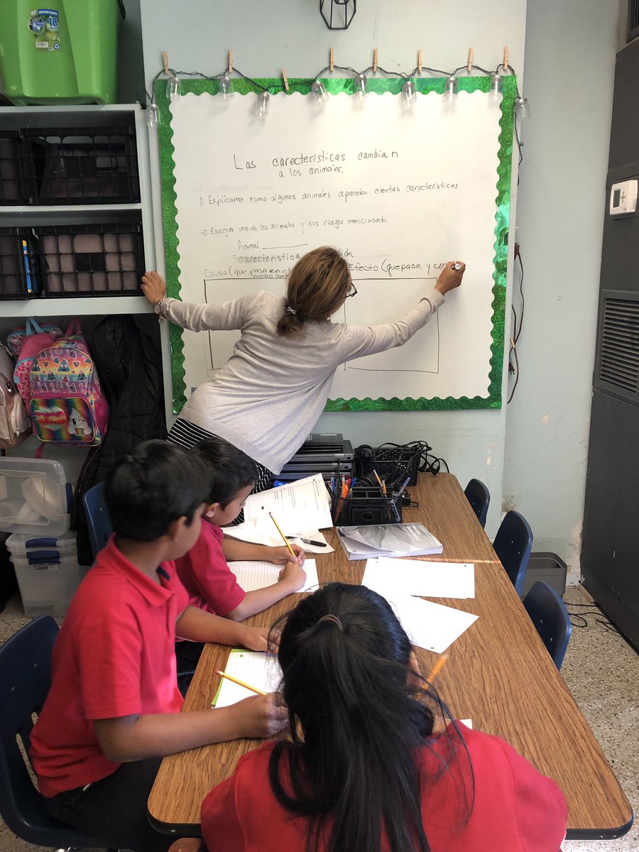 JessicaDCarmean's tweet photo. When you have the best para in the world...
I am thankful for you! #TranslatingScience #ELL @isiscasanova @JPschools https://t.co/FiBhe3R6Qd