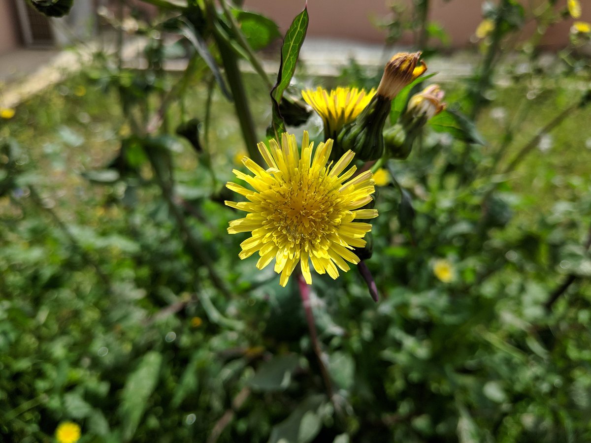 ZKR394's tweet photo. Gcam+Poco F1=wonderful picture
#ShotOnPOCO https://t.co/V9RbE73pHm