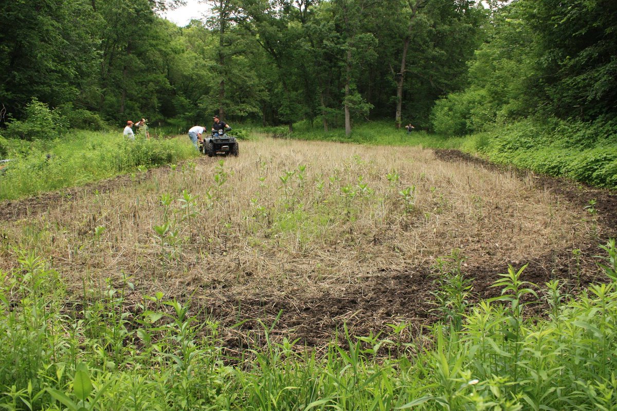 EvolvedBrands's tweet photo. Spring food plots starting to hit the dirt!
.
.
#EvolvedHarvest #EvolvedFoodPlot  #WhatGetsYouOutdoors #PropertyManagement #Dedication #SpringPlanting  #MakeYourOwnSuccess https://t.co/WBfPyLWJ07