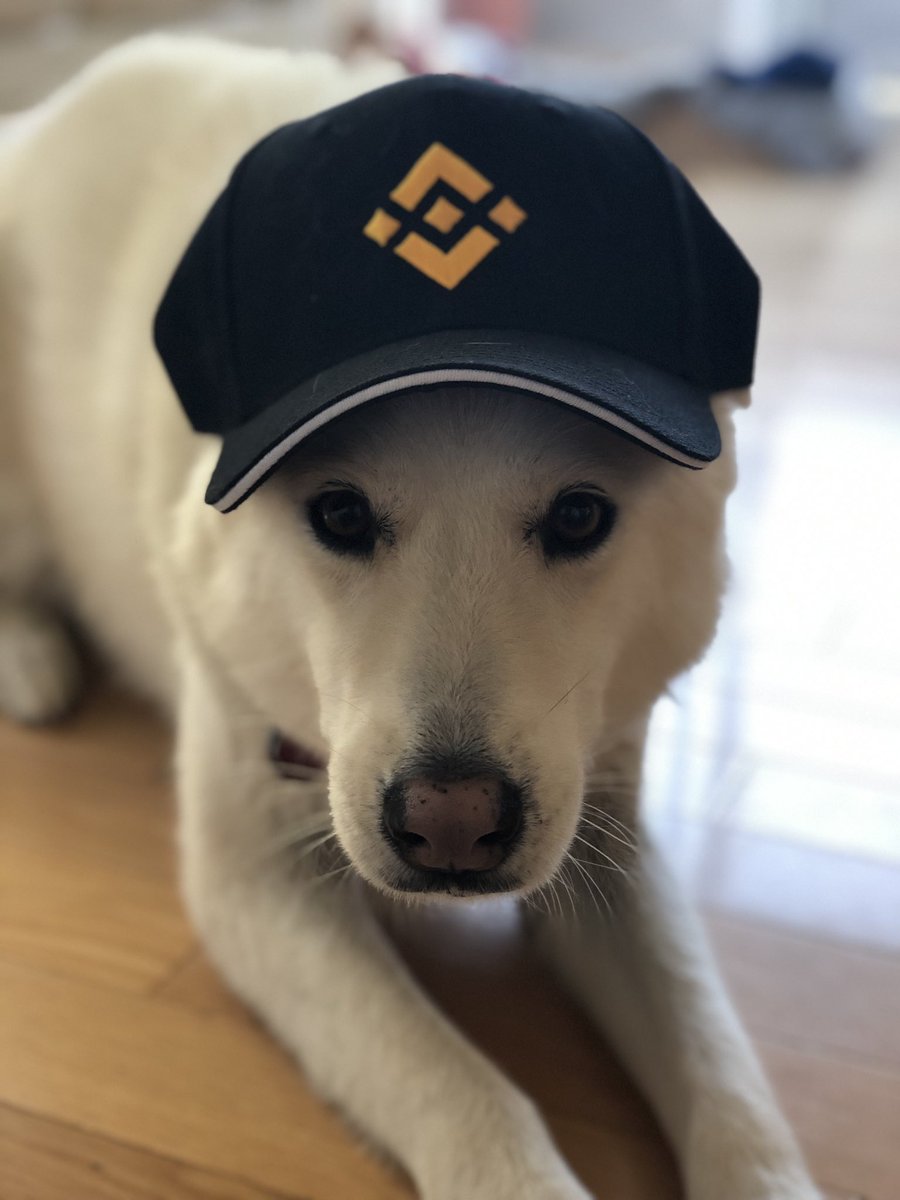 RobertYau's tweet photo. @binance Hi from crypto Luna @PathDotTech @BinanceLabs https://t.co/w7d9hBiMXB