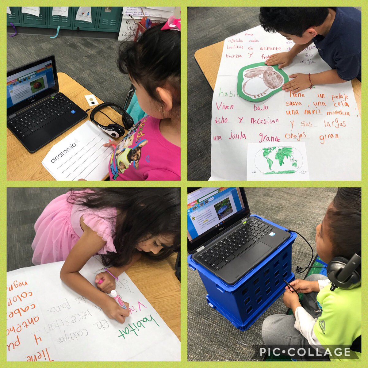 Forman Kindergarten tweet media