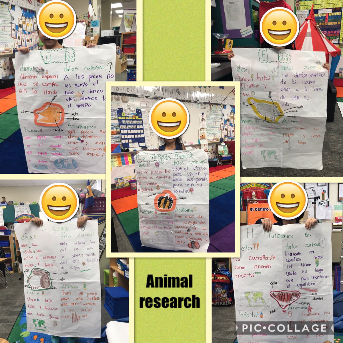 Forman Kindergarten tweet media