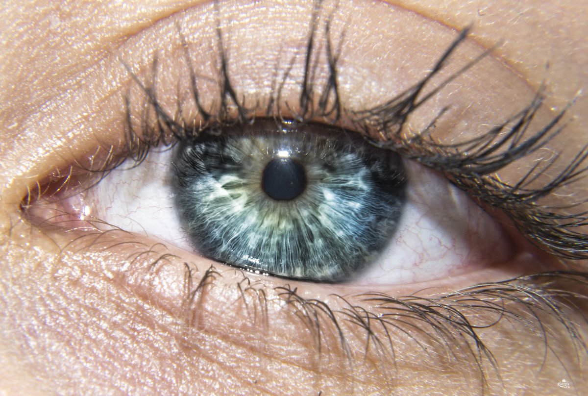 #ojosbonitos #ojos #eyesphoto #eyes #ojo #ojos #macro #nikon3100 #nikon #ojos_macro #macrofoto #pupilas #pupila #ig_eyes #ig_eye #beutifull #iris #pestañas #ig_ojos #azules #ojosazules #ojosclaros