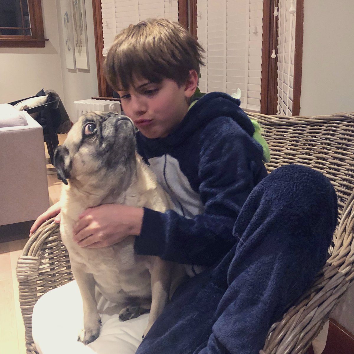 Chris_Guerette's tweet photo. Happy #NationalPetDay to the best little companion our family could ask for. Oscar keeps us focused on family time and cuddles. And snacks. #neverenoughsnacks #yxe https://t.co/aA4LJkCEky