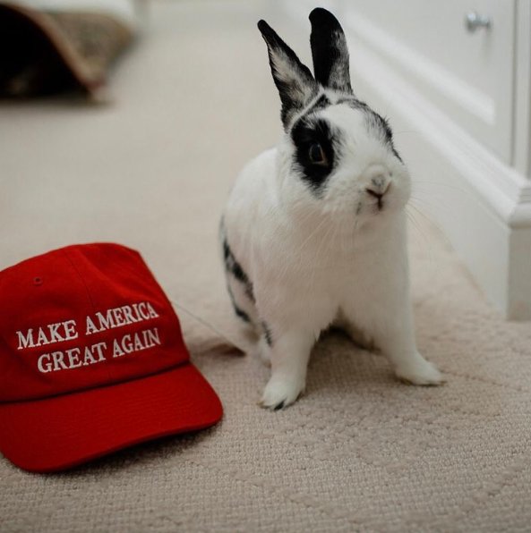 realMarlonBundo's tweet photo. One man's freedom fighter is another man's bunny boiler. 

My Grampa @VP @mike_pence stands for law and order, especially where the locations of our servicemen and women working in war zones need to be kept secure. 

Thankyouverymuch. #BOTUS #PencePets #MAGA https://t.co/IcEAfFa6NQ