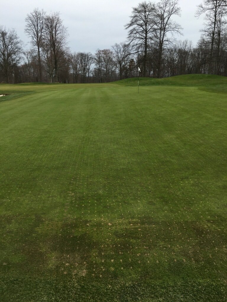 Always love getting these texts from customers. 24 hours after #DryJect the greens look great. Smooth, firm, and very little sand in the canopy. 500 lbs/1k SQ ft. injected where you want it.