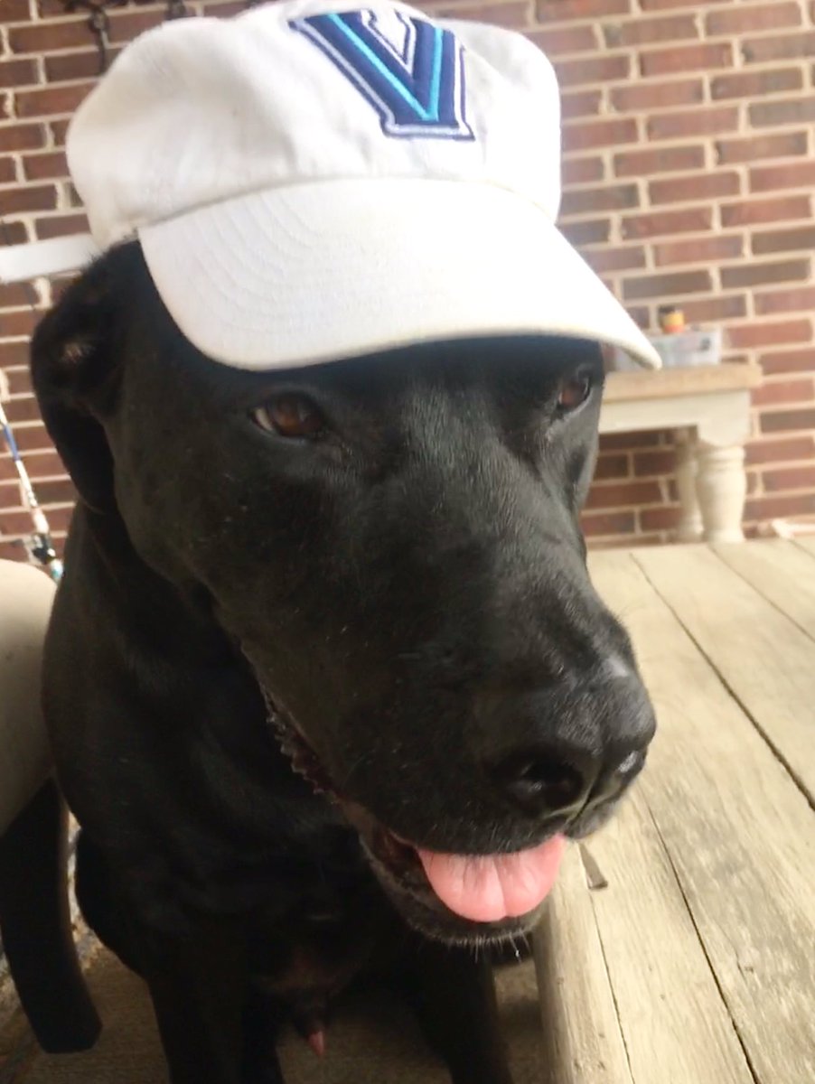 carmen_hancuff's tweet photo. @NovaAthletics #NovaAthletics #NOVAPETS https://t.co/nRPpAF7PEH