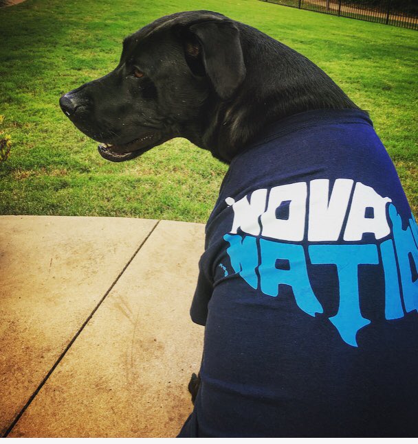 carmen_hancuff's tweet photo. @NovaAthletics #NovaAthletics #NOVAPETS https://t.co/nRPpAF7PEH