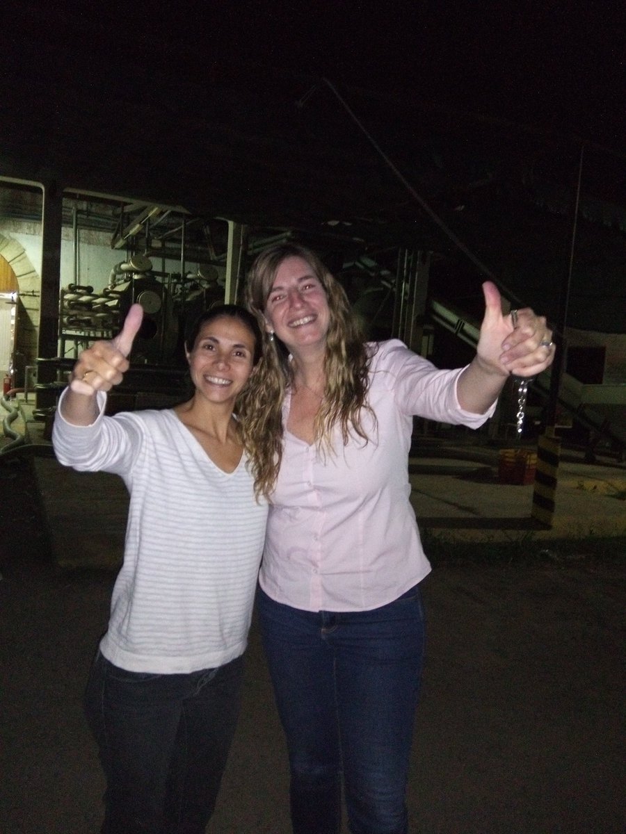 Julia Halupczok tweet media