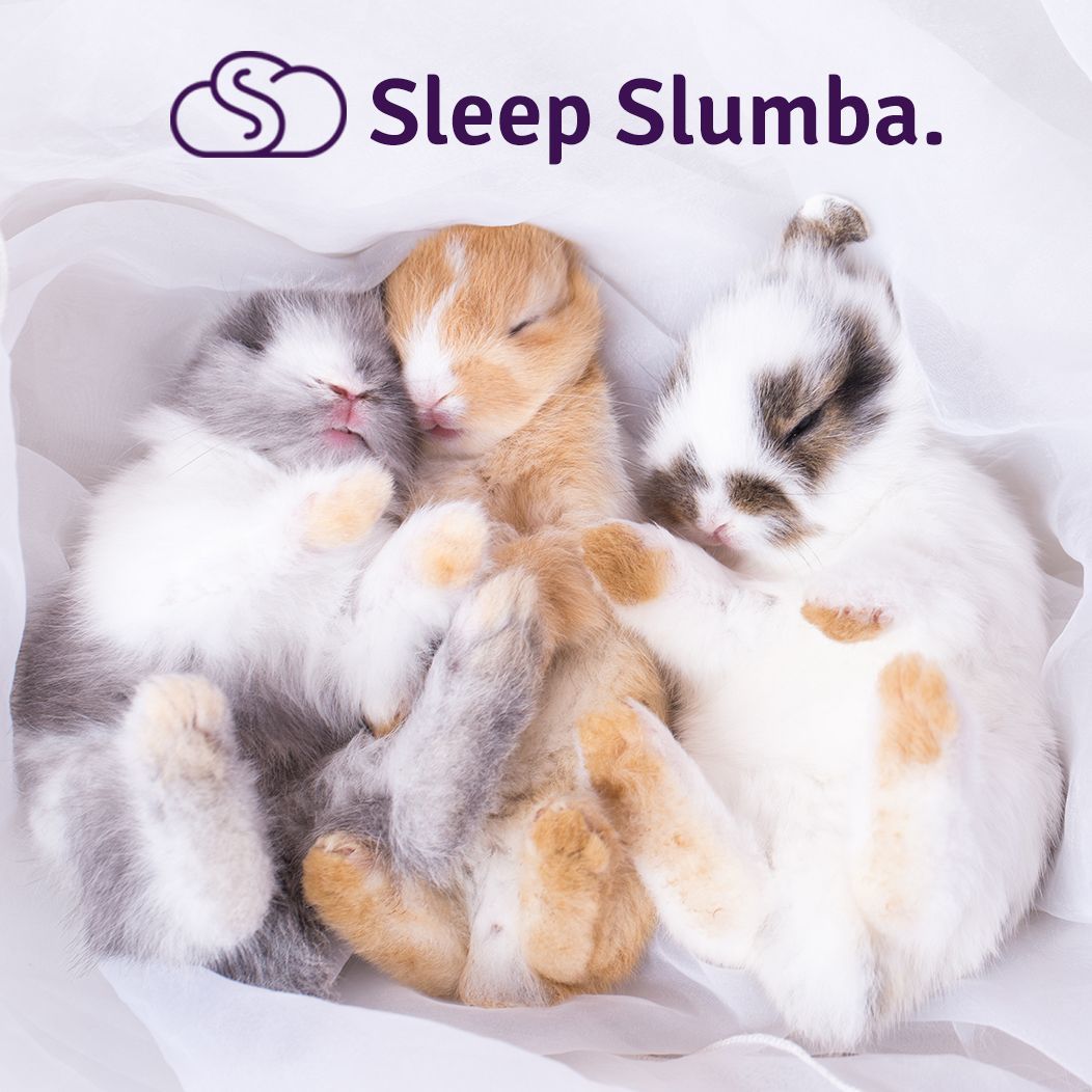 SlumbaUSA's tweet photo. Snuggle up over the Easter long weekend with a comfortable memory foam Slumba mattress! Get yours here: https://t.co/nbPEMEEVYu

#Easter #Snuggle #Mattress #SlumbaMattress #Slumba #Bunny #chocolate #sale #longWeekend #life #love #comfort #relaxation #selfcare #sleep #dream https://t.co/amYzQEv4Q3