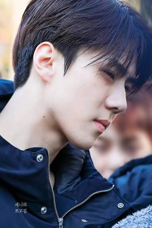 คุณโอ♡ sesun ♡ tweet media