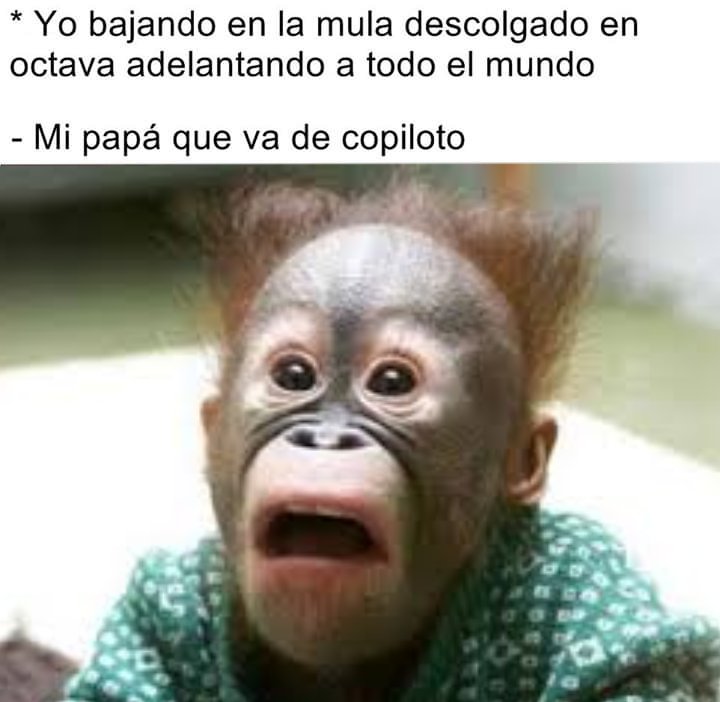 EsDeCamioneros's tweet photo. Métase la cédula a la boca que vamos es pa' bajo https://t.co/R8oRi1Hjoj
