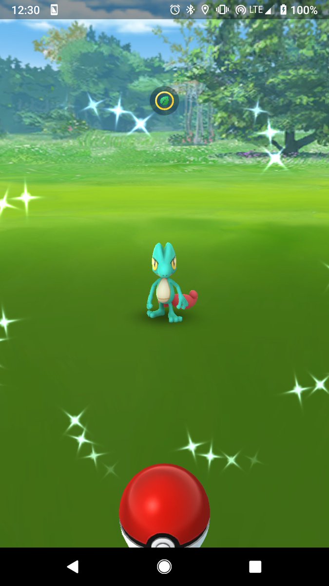 pokekoom's tweet photo. Wow a #shinytreeko after community day... #pokemongo https://t.co/pqA5oiPOxH