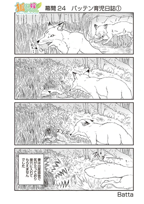 【狐のお嫁ちゃん】幕間24「バッテン育児日誌」 