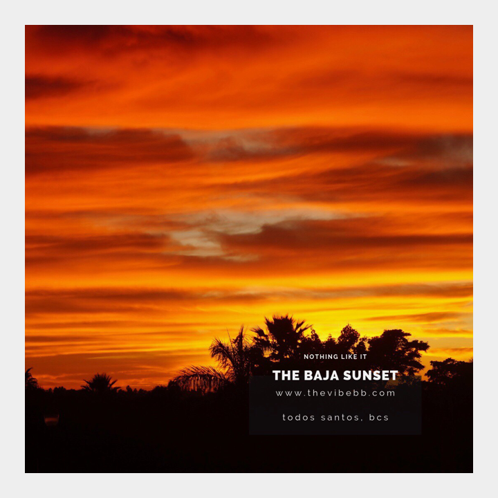 thevibebb's tweet photo. No words about this TBT 🧡
Thank you nature for letting us Vibe! 
https://t.co/z3OW6S7czP
.
.
.
#tbt #thevibe #sunset #todossantos #bedandbreakfast #bcs #bajasur https://t.co/ZGP6xFY01t