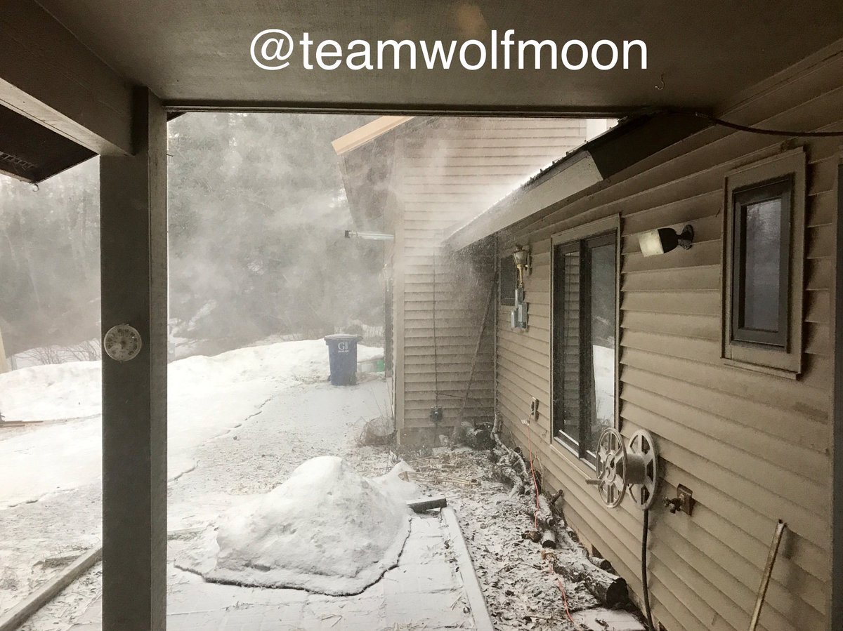 TeamWolfMoon's tweet image. A mid-April blizzard is beginning. #MinnesotaSpring