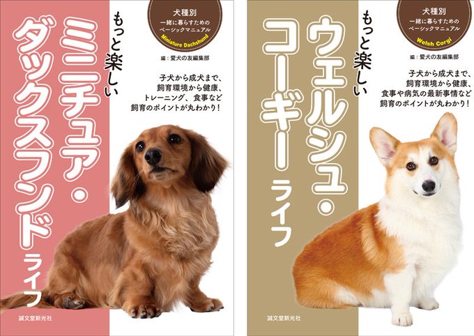 犬種のtwitterイラスト検索結果 古い順