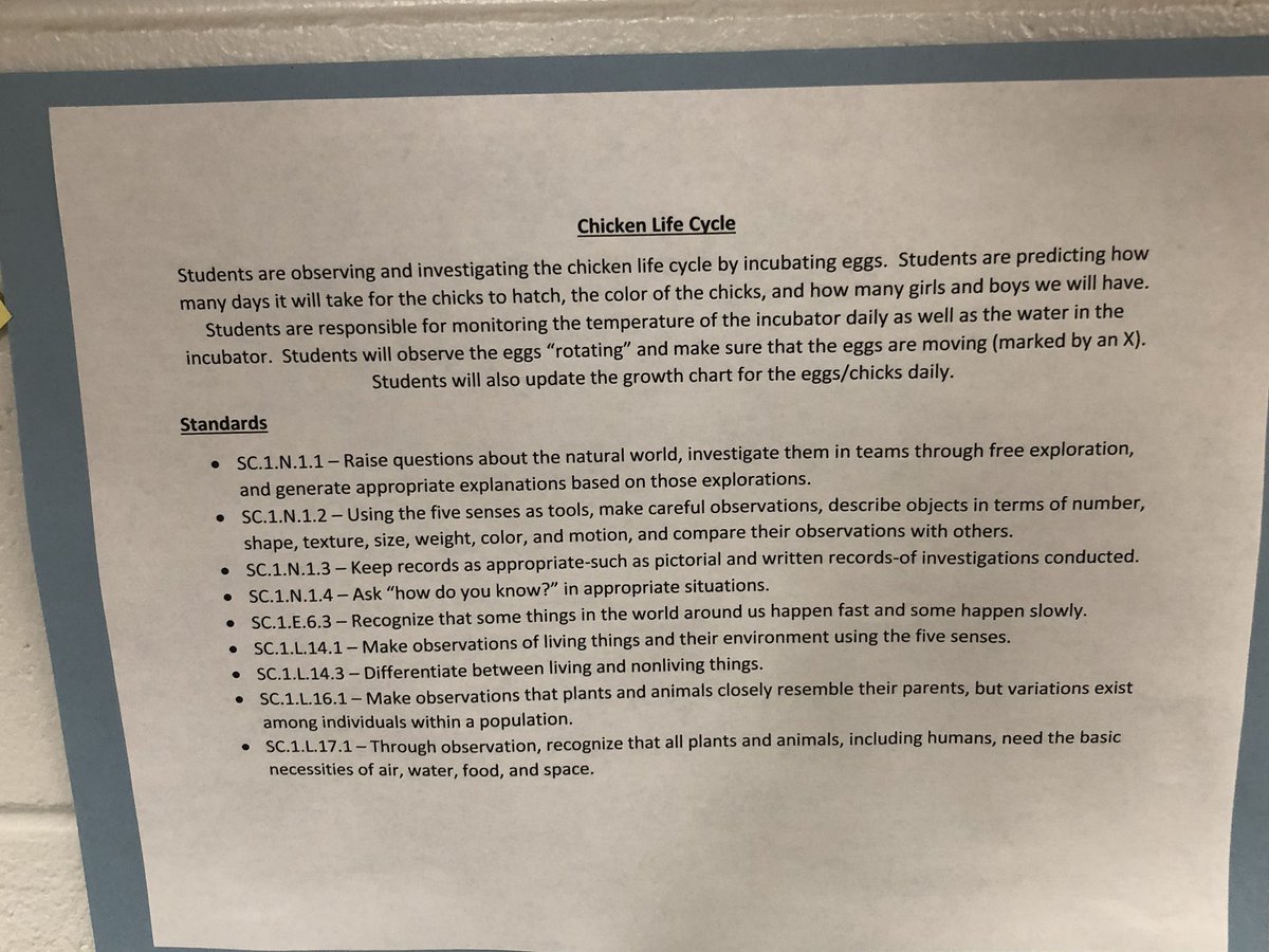 jackiemaclean7's tweet photo. Our first graders are learning about animals and their basic needs as well as animal life cycles. We decided to study the life cycles of butterflies, praying mantises, and now chickens. Our chicken life cycle investigation was officially set up today! #ColsonES @OMendezHCPS https://t.co/oBRRNiNrF4