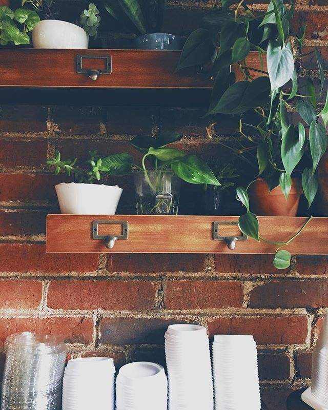 Pretty coffee corner. 🙌☕️🖤
•
•
•
•
•
#coffeehouse #coffeebar #coffeecoffeecoffee #tennessee #franklin #factoryatfranklin #coffee #coffeelove #coffeeshop #coffeetime #coffeedaily #plants #plantlady #plantlove #coffeeandplants #greenery #green