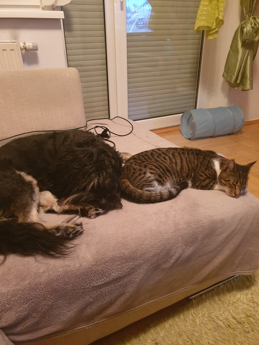 Wenn es sogar für Rika und Luigi noch zu früh ist 😂😂