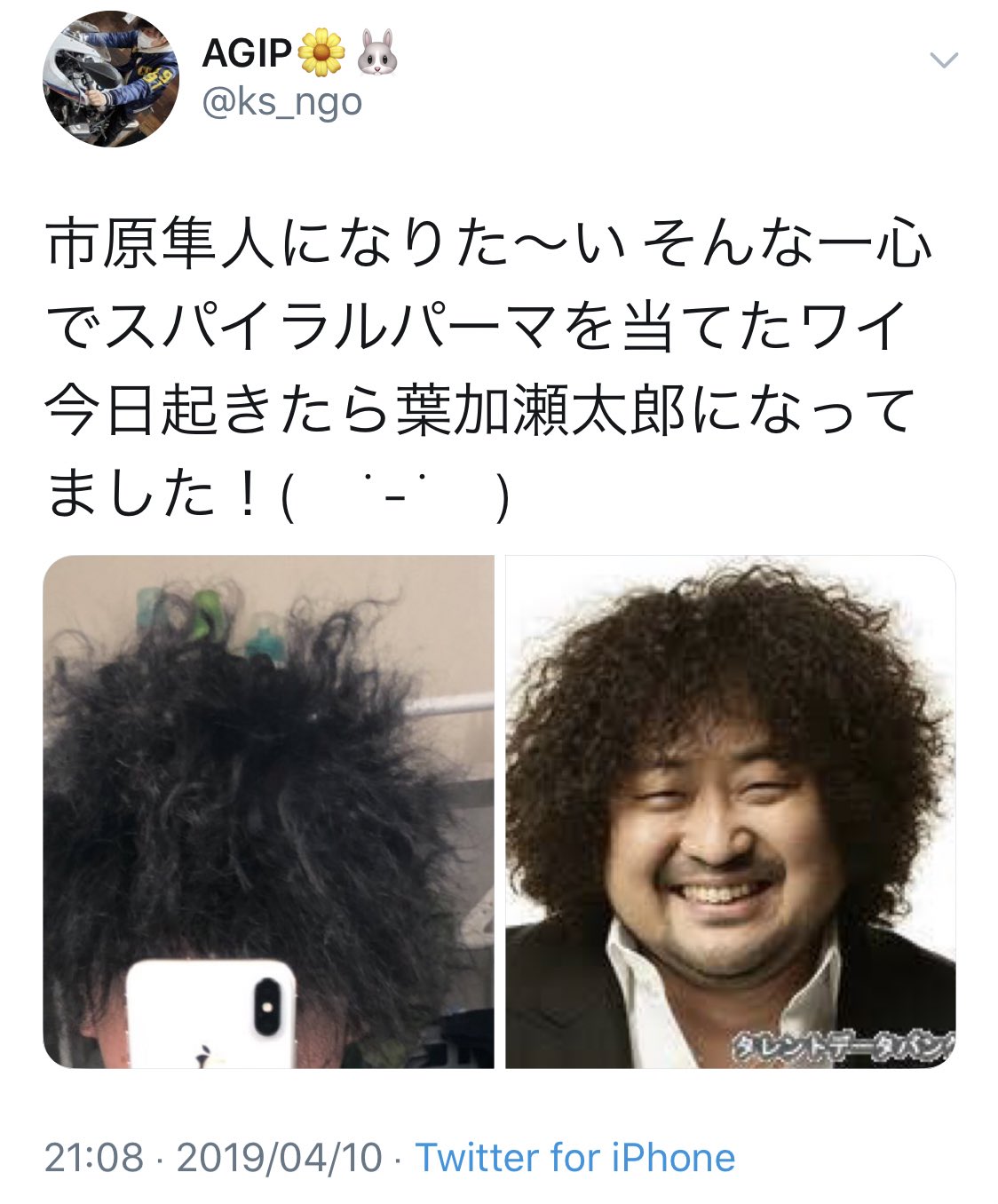 まことぴ いったい全国で毎日何人の葉加瀬太郎が量産されているのだろうか