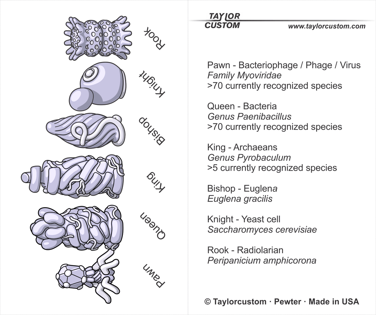 ebook battle colors