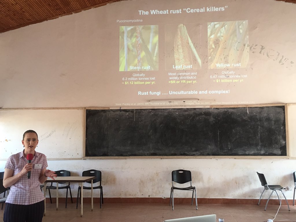 FrejusSodedji's tweet image. Exposure to smart ways of tackling global problem. Diane Saunders from @JohnInnesCentre is at @afriplantsci building participants capacity in #field #pathogenomics #FoodSecurity