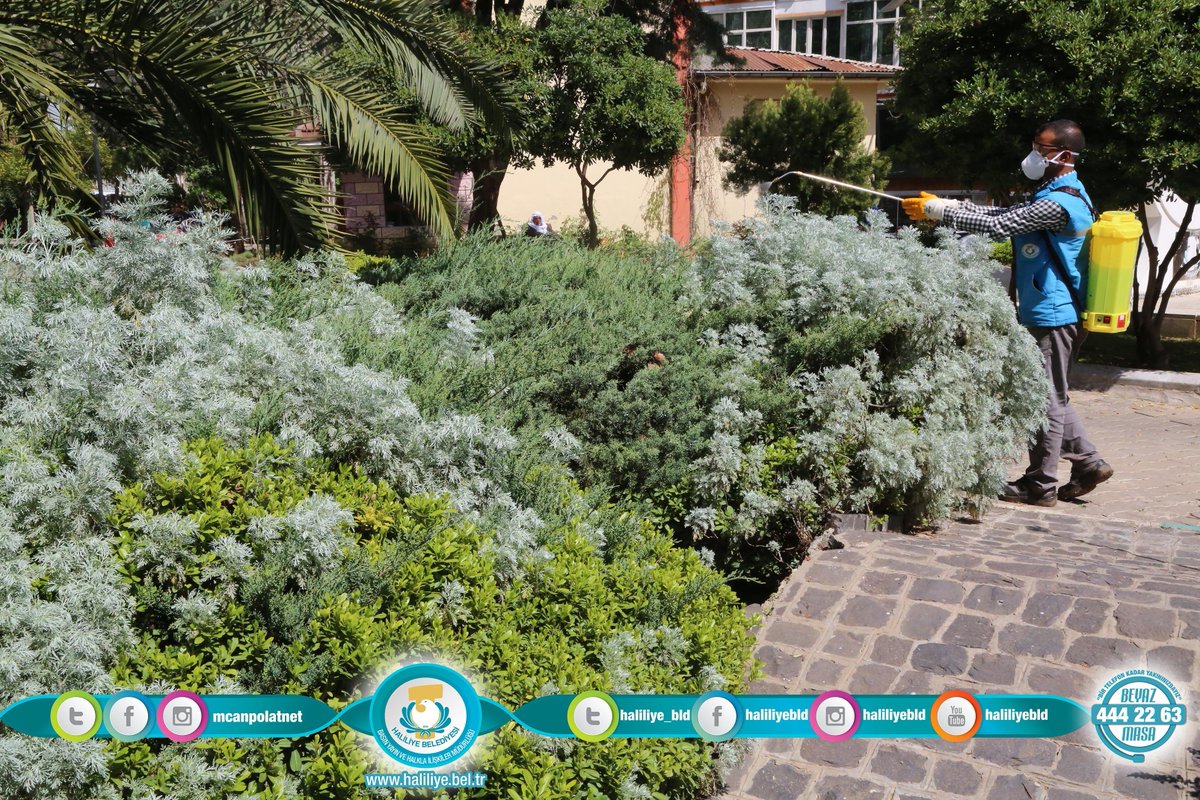 haliliye_bld's tweet photo. HALİLİYE BELEDİYESİ İLE PARKLAR YAZA HAZIR - Haliliye Belediyesi 
https://t.co/dEVHa6K32N
@mcanpolatnet https://t.co/iQOvClM828