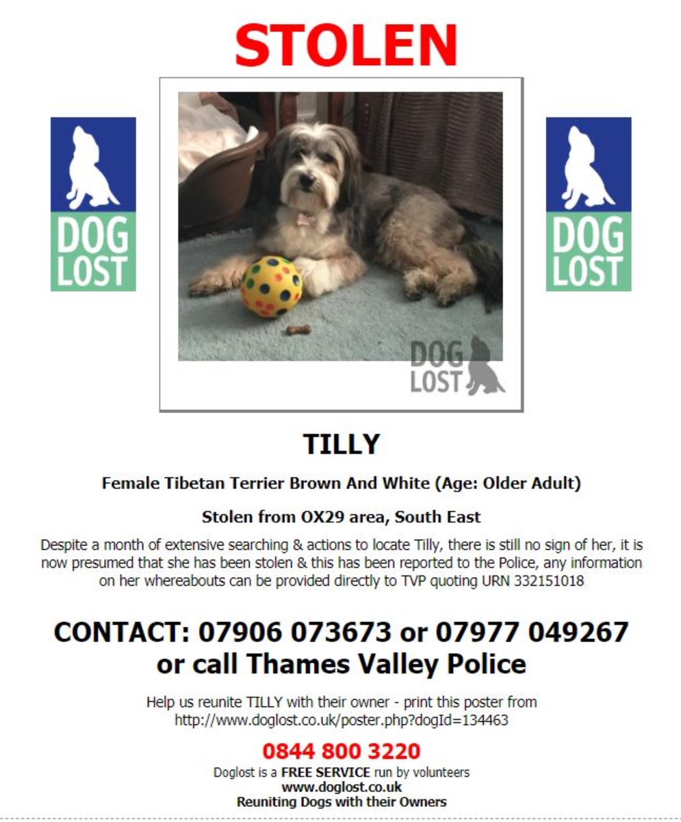 JustineQuirk's tweet photo. Thank you @OxMailSophieG for raising awareness for @Tillymissing. We know she’s out there somewhere, please contact @DoglostUK with any information
https://t.co/DpfL5KcJeB She is SPAYED &amp; MICROCHIPPED and very much missed by her entire family 💔🐾 https://t.co/UF54haG7GS