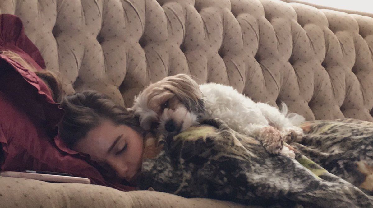 HaleyErin97's tweet photo. Happy #NationalPetDay Mr. B 🐶💙🐾 https://t.co/Vp49slfM8B
