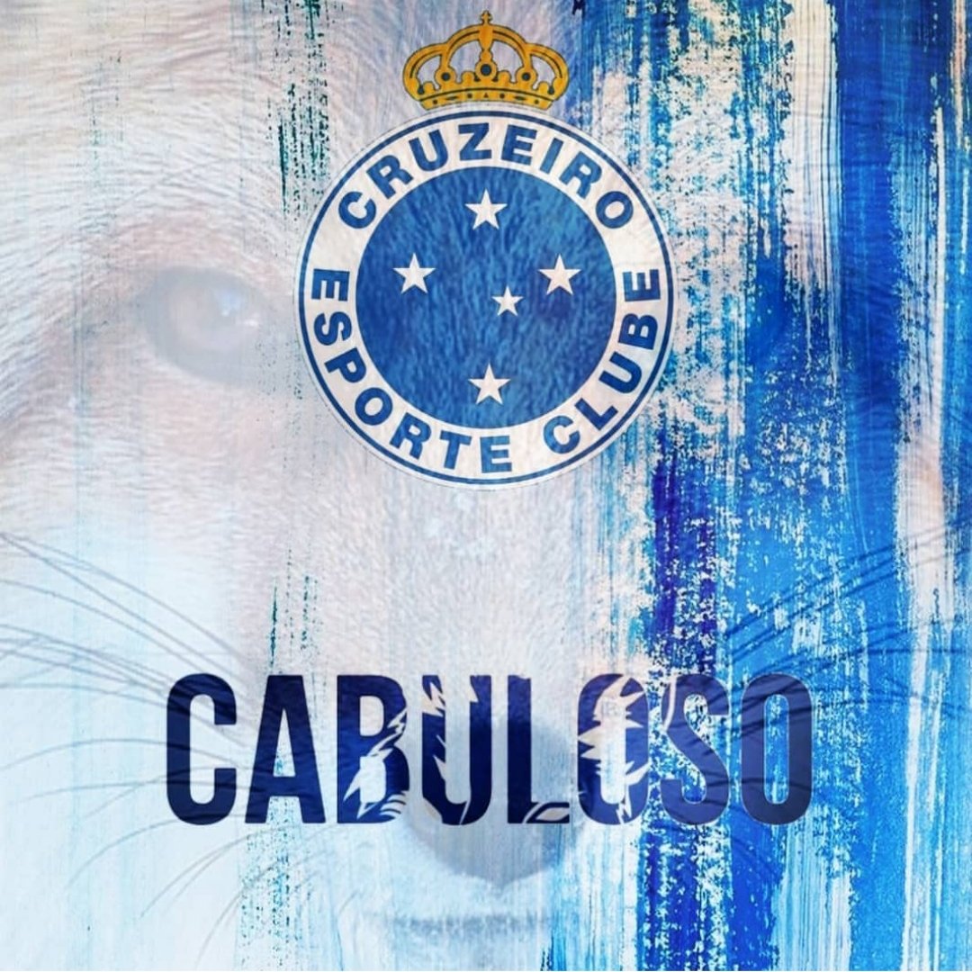 FelicitySmoack1's tweet photo. #CruzeiroSempre👊👊👊
#CruzeirãoCabuloso 
#AmorIncondicional https://t.co/TiHuymZT2y