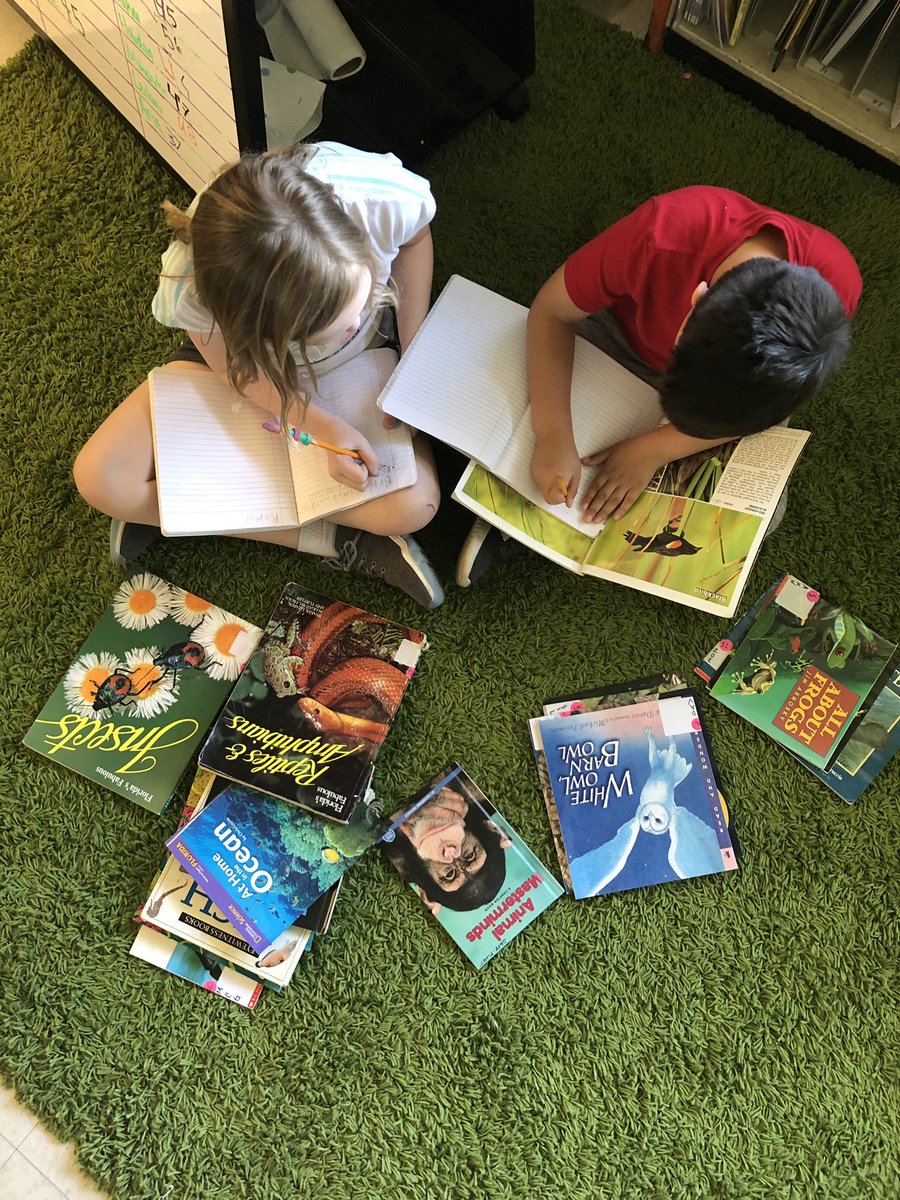 laurabird89's tweet photo. https://t.co/NbAa9Jd6tM              Check out my project @DonorsChoose #HappyCampersMakeHappyLearners https://t.co/A2lKD3lc7o