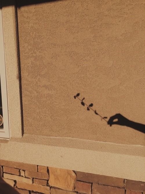 ลุงอาร์ม tweet media