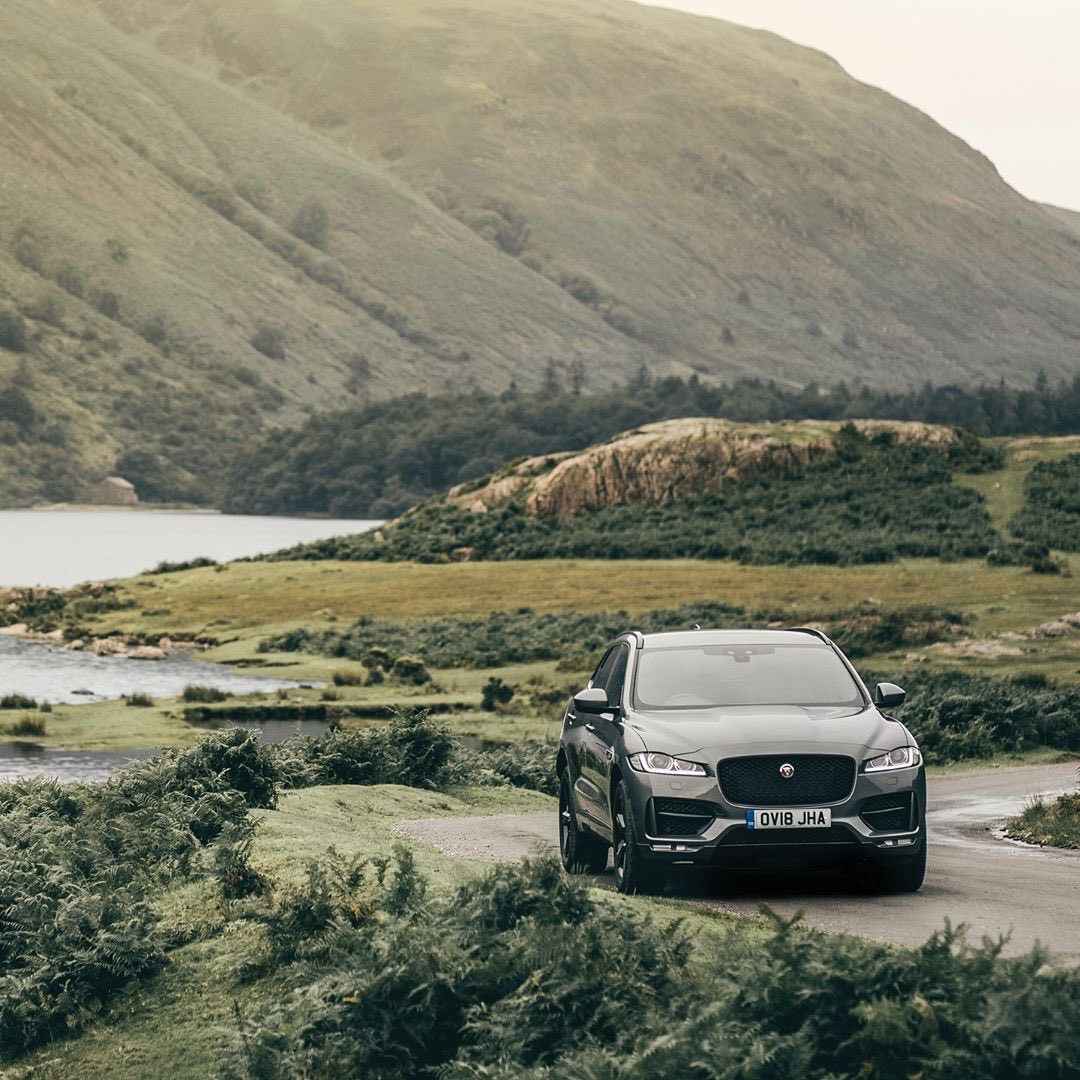 Una fiera que no contempla pertenecer a la manada. #Jaguar #FPACE