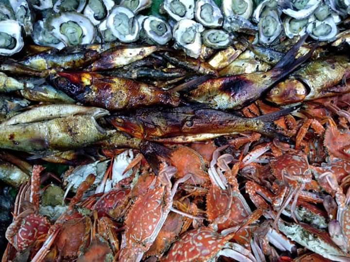 ACI_GIRL's tweet photo. Seafood Galore here!!!
#FoodTripSaCapiz
#Capiztahan2019
#CaptureCapiz
#AdventuresofAciGirl
#tpbgovph https://t.co/G4P1uOP3ZI