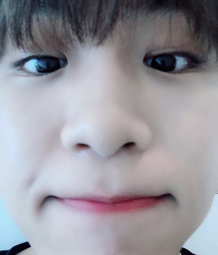 Babybird_lo's tweet photo. 너 진짜 애기야🤭🤯😭⁉️

https://t.co/m4k1TIFduE https://t.co/Td1uCyLnyq