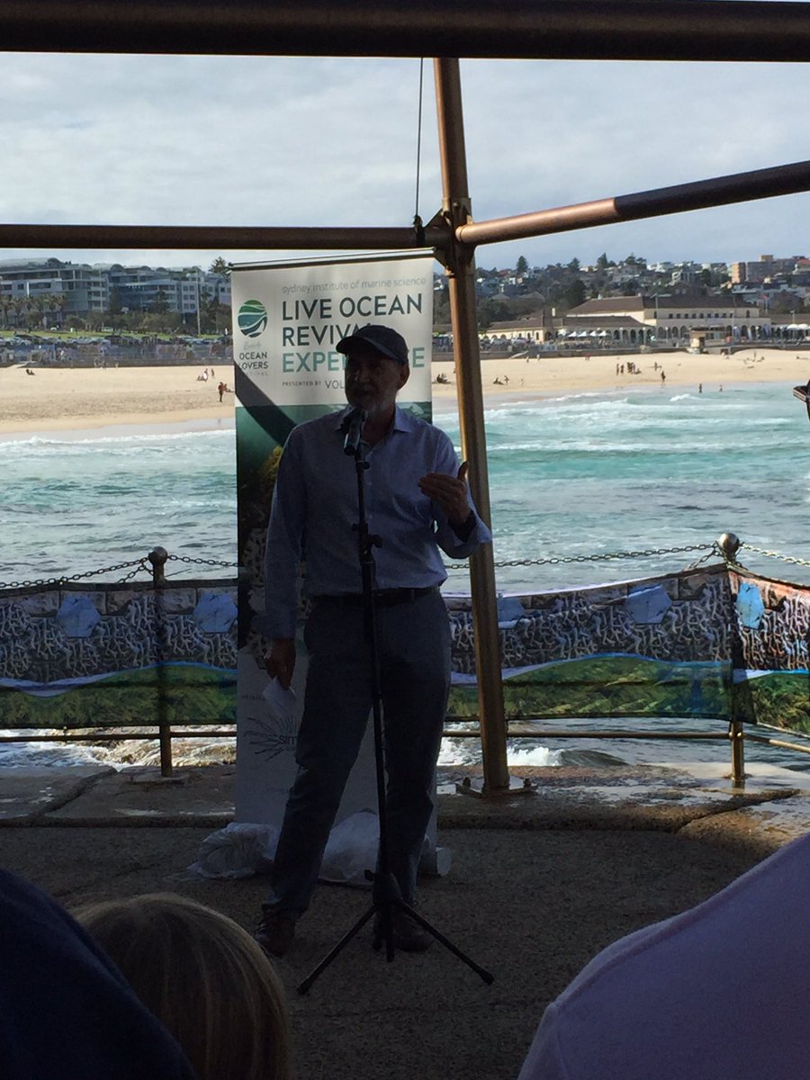 DrKDafforn's tweet photo. Launching the @SydneyMarine live ocean revival experience @bondiicebergs. Prof Peter Steinberg: we increasingly build into the oceans, but these structures are often ecological deserts #livingseawalls #bringbackbiodiversity @crayweedcrew https://t.co/NgoOwHNWIC