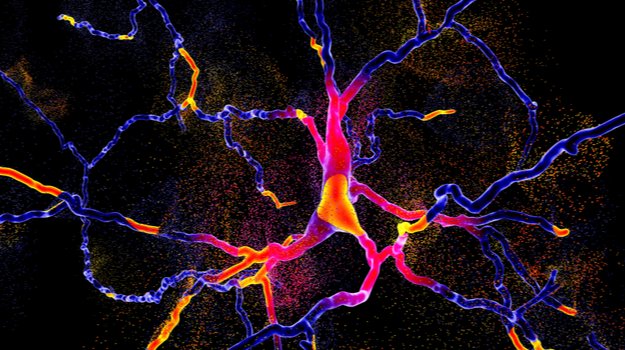 World Parkinson’s Day: How Science Is Battling the Disease dlvr.it/R2fhbS