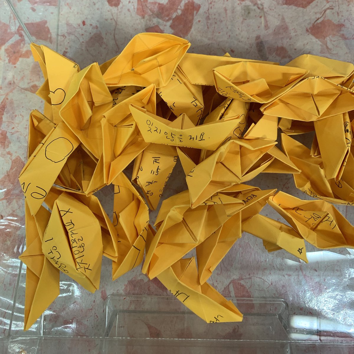 임진아 tweet media