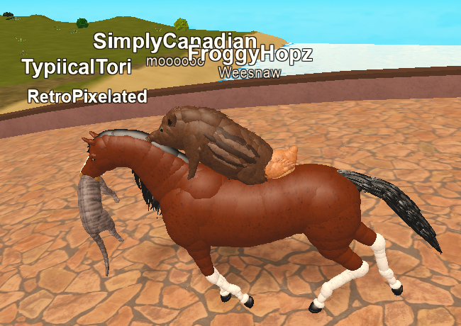 Simpiy On Twitter Hi Idk What To Post After The Post Of Me Complaining About Unfair Warns So Here Are Some Photos Of Roblox Animal Simulator Games Https T Co Hc3phiecuf - roblox animal simulator