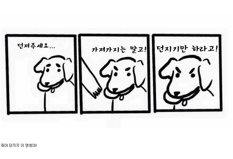 malrang_s_'s tweet photo. 강아지랑 놀아줄때 답답한 것 https://t.co/dCmt5kopuk