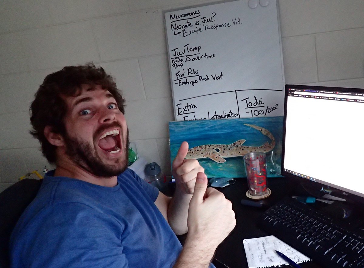 walking_sharks's tweet image. PHD THESIS SUBMITTED!!!!!!!!!!!!!!!!!!!!!!!!!!!!!!!!!
Thanks to everybody who has helped me get here especially @CulumBrown and all in the @FishLab_MQ and @TiffanyJNay.

On a side note.... our submission screen is super anticlimactic... Is it too much to want animated fireworks?