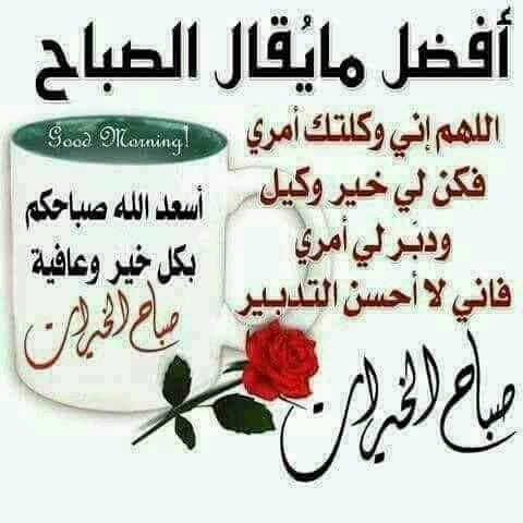 حلا (@hhala2551) on Twitter photo 