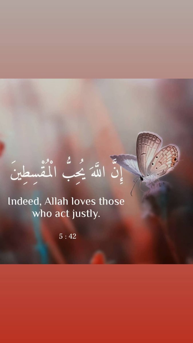 AL_Rauda_Masjid's tweet photo. https://t.co/ut74cM2Wpg
