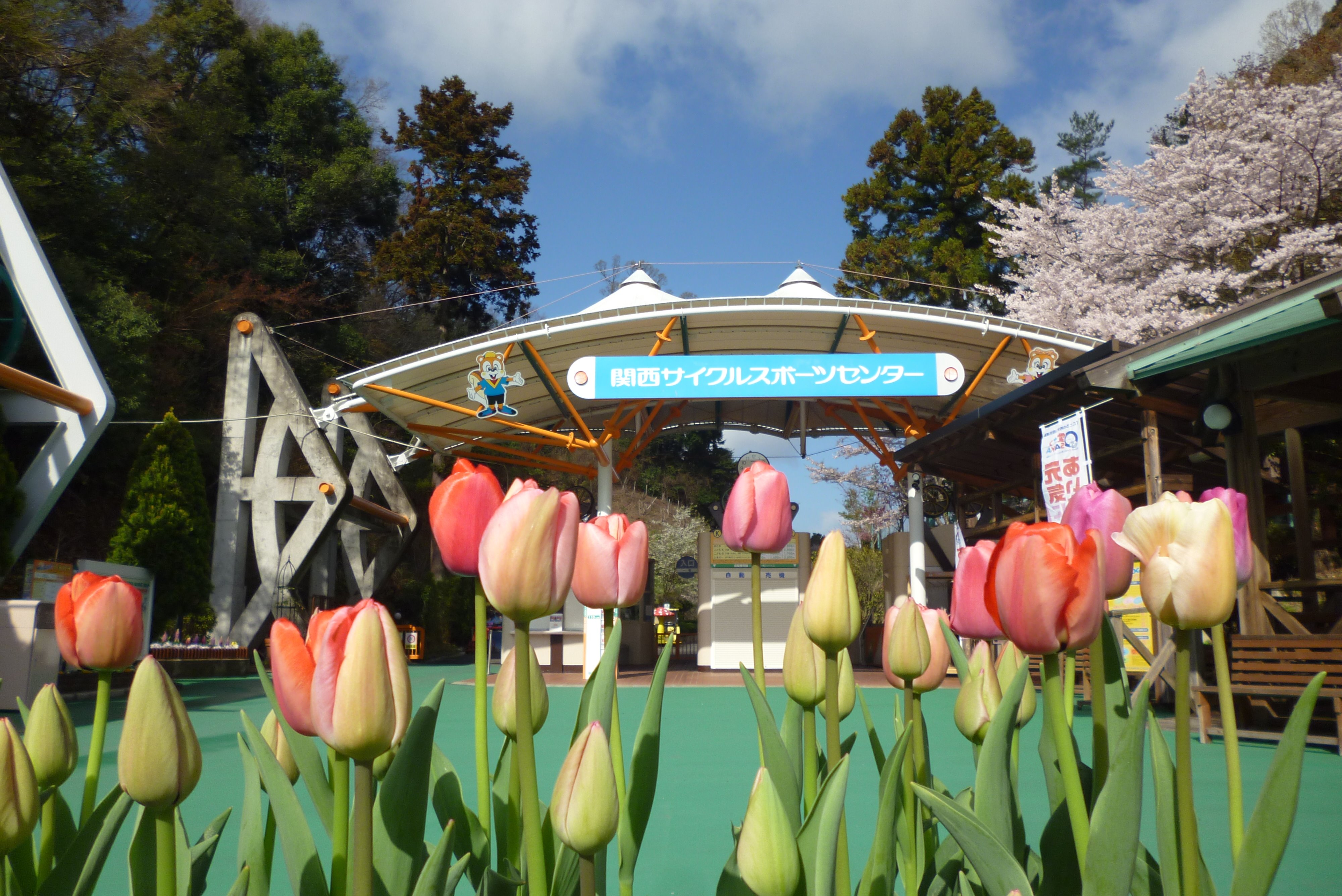 関西サイクルスポーツセンター 公式 こんにちは Gw期間 おでかけ先はお決まりですか 関西サイクルでは お子様に人気のキャラクターショーやイベントたくさん お手軽日帰りbbqもおすすめですよ 予約制 リスのリッキー リンリンも暖かくなっ