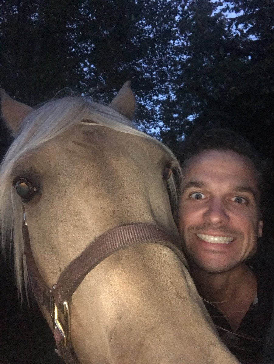 restorationsbc's tweet photo. We can’t let #NationalPetDay pass without showing you some of the Ripple Rock crew’s furry family members ❤️🐶🐱🐴❤️ https://t.co/kZmGgBMLds