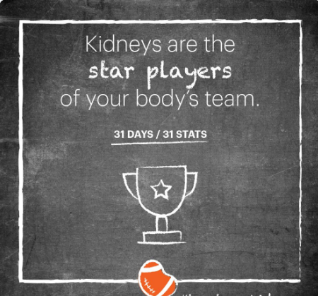 EuroDepression's tweet photo. Kidneys are essential to keeping us healthy. They are our body’s small, but powerful, chemical factories; working nonstop to remove waste and keep our blood pressure in check #WorldKidneyCongress #Istanbul #Turkey https://t.co/YST6E0P43A