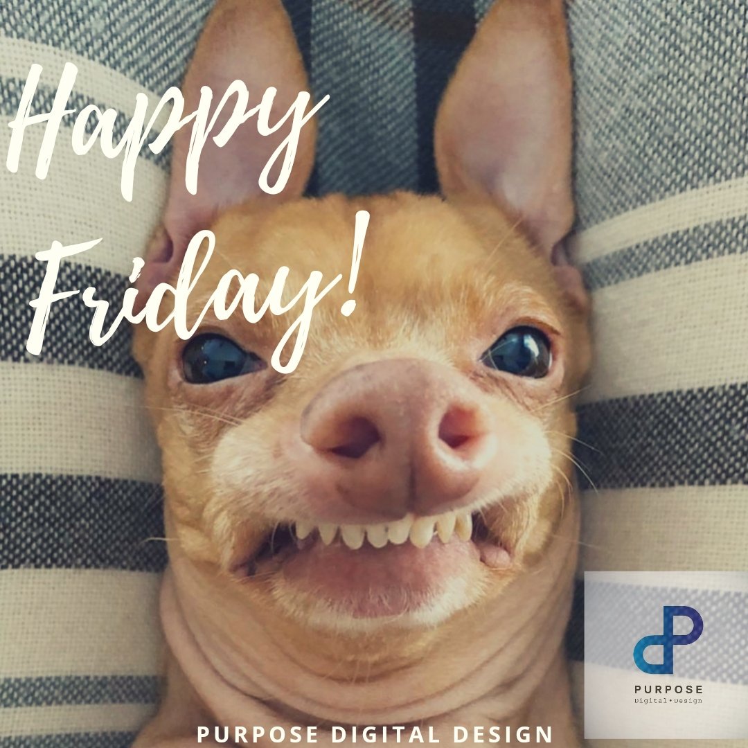 Purpose Digital Design tweet media