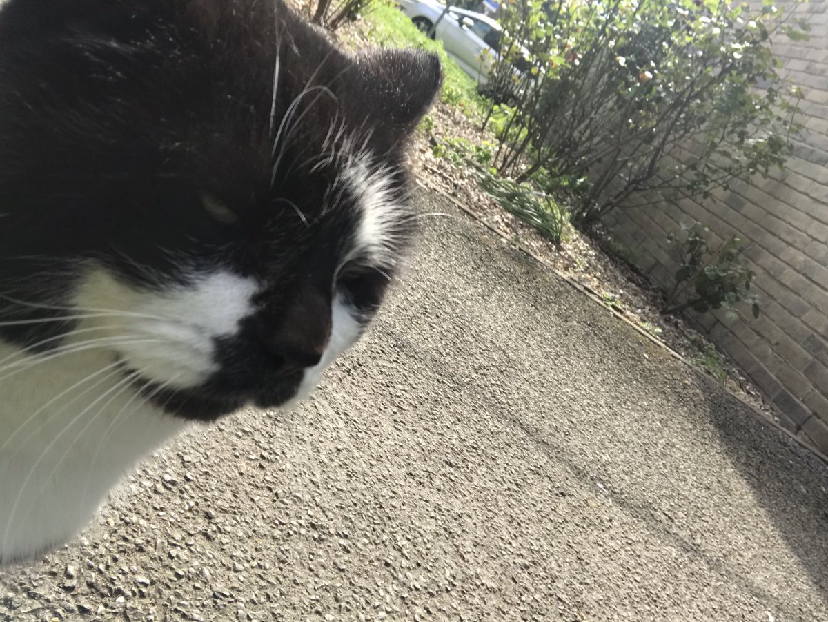 Catriona (Catrina)💙 #BHWellbeing tweet media